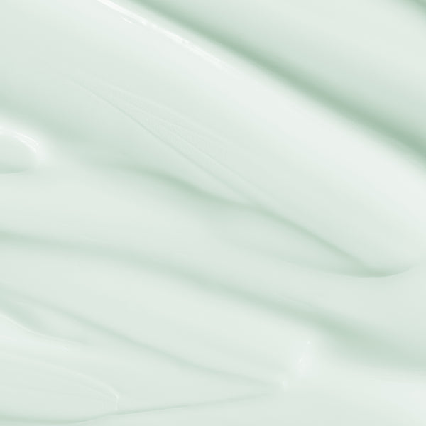 Mario Badescu Aloe Moisturizer SPF 15