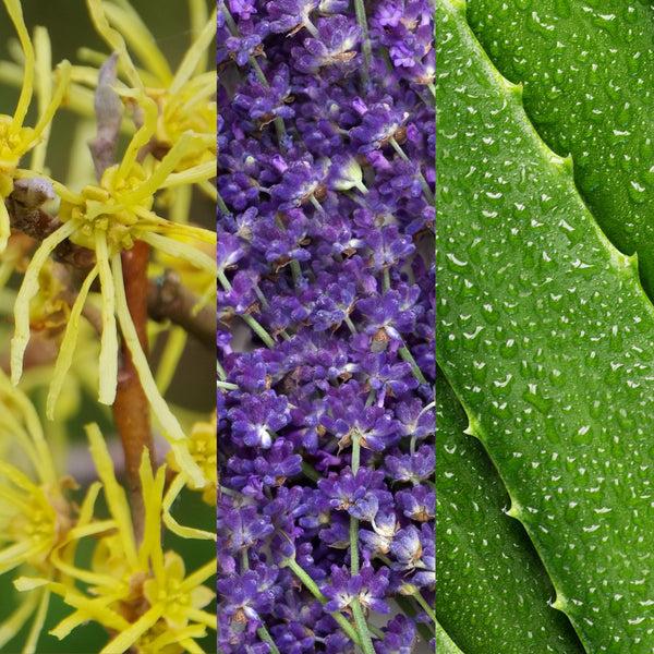 Mario Badescu Witch Hazel & Lavender Toner