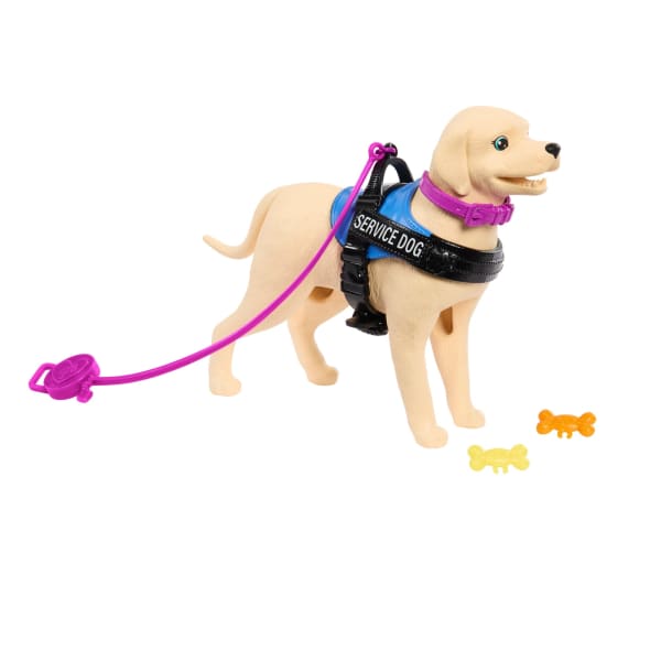 Mattel Barbie Doll & Service Dog Playset With Wheelchair Ramp & Accessories Brunette Fashion Doll