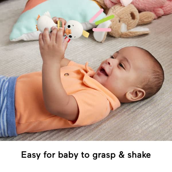 Mattel Fisher Price Clack & Quack Goose Baby Toy With Fine Motor Activity For Newborns