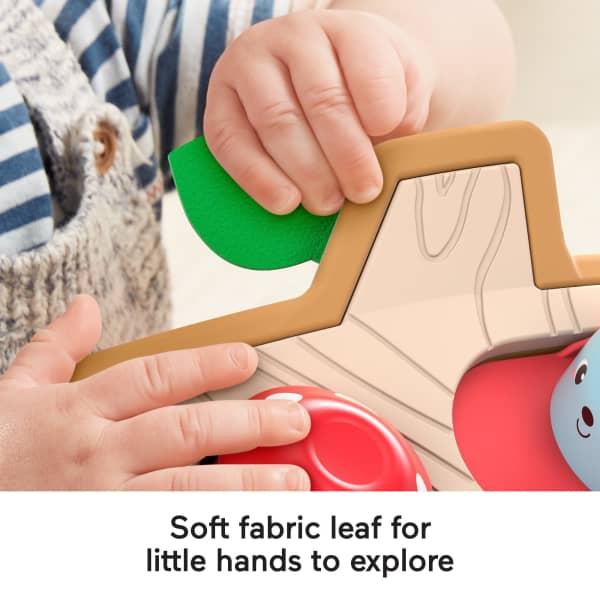 Mattel Fisher-Price Hide & Peek Pop-Up Animal-Themed Baby Sensory Activity Toy With Wood & Sounds