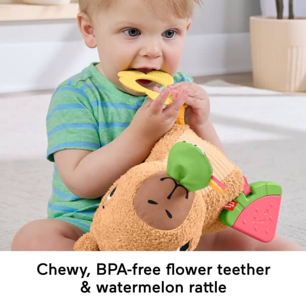 Mattel Fisher-Price Snuggly Snacky Capybara Plush Baby Sensory Toy With Teether & Rattle For Newborns