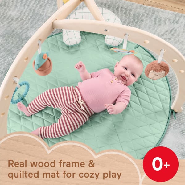 mattel Fisher-Price Wood Baby Playmat Lay & Play Deluxe Activity Gym With Wooden Frame & Tummy Time Sensory Toys For Newborns 0+ Months