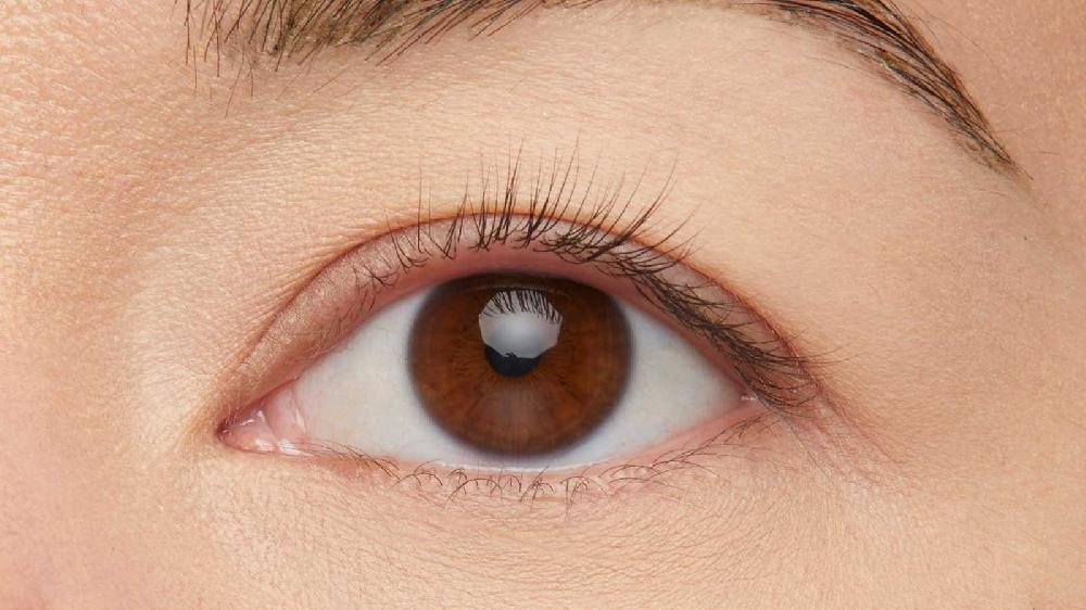 Maybelline Great Lash Lots Of Lashes® Washable Mascara