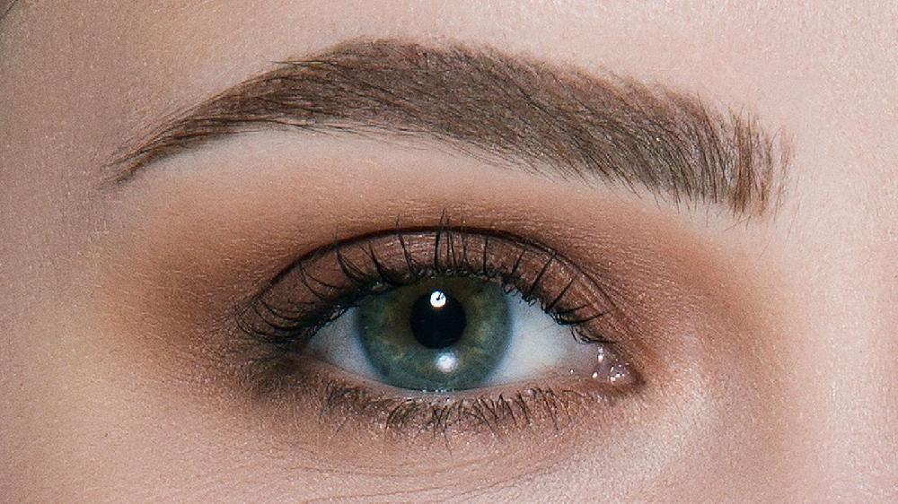 Maybelline TATTOO STUDIO® BROW TINT PEN UP TO 24HR WEAR