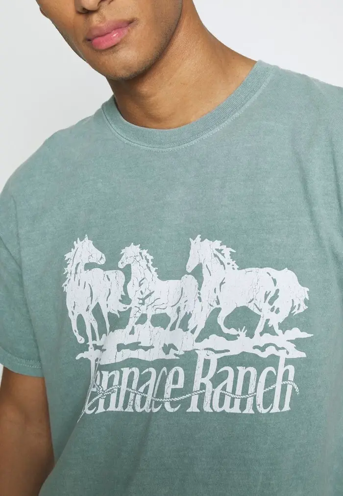 Mennace Mennace ROSEBOWL RANCH REGULAR – Print T-shirt – Light Blue