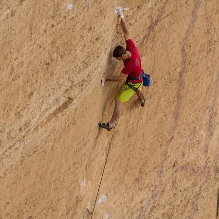 Metolius Safe Tech Comp Harness