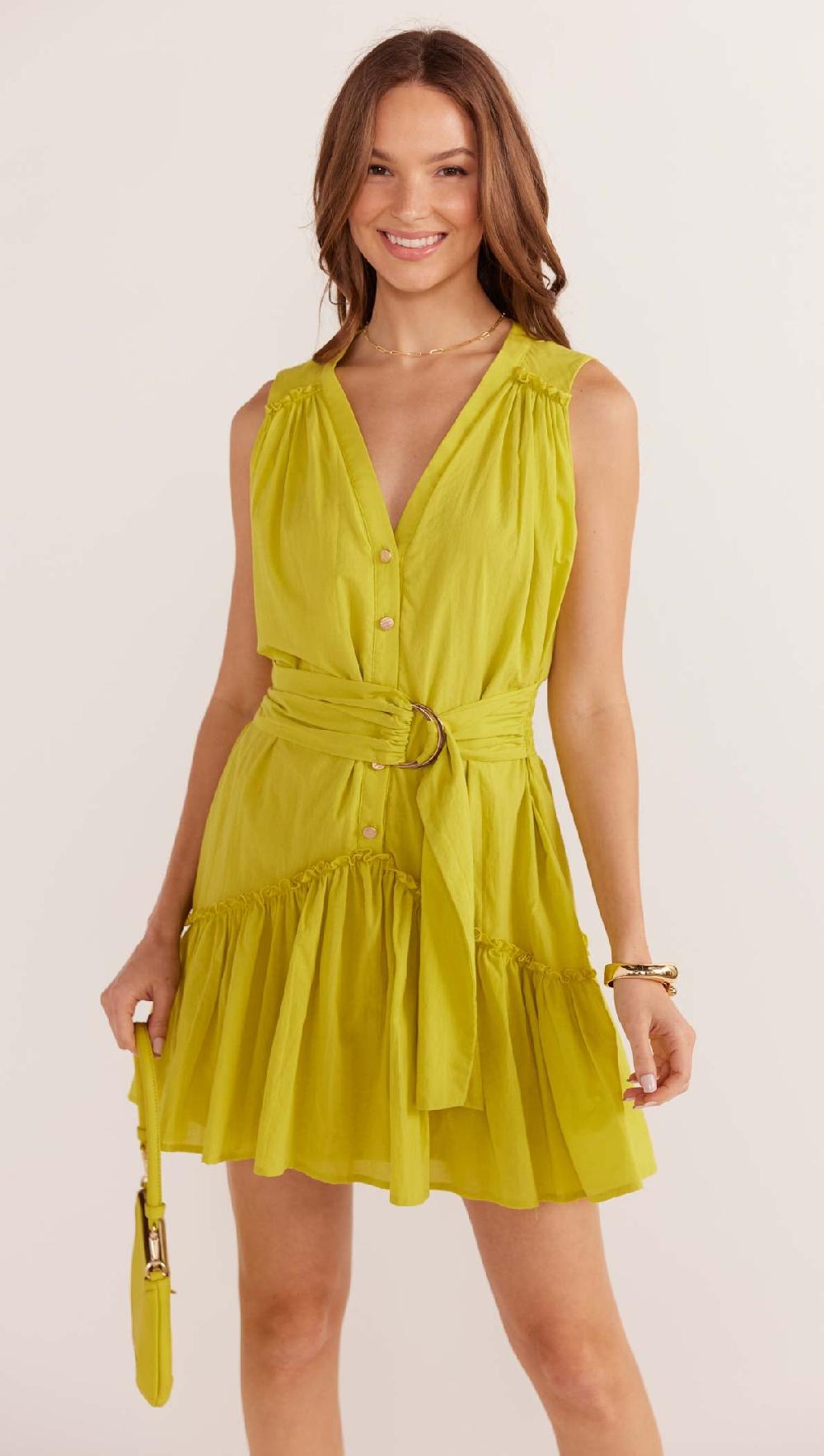 Minkpink Mariposa Drop Waist Mini Dress - Final Sale