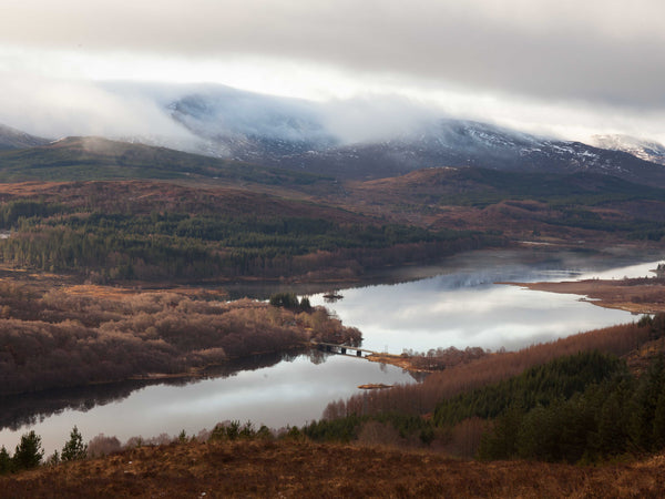 mismo M/S Avail Army/Dark Brown