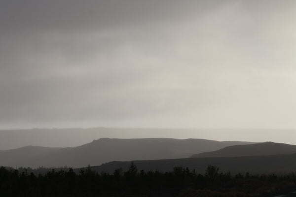 mismo M/S Carry Coal/Black