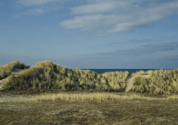 mismo M/S Carry Navy/Dark Brown