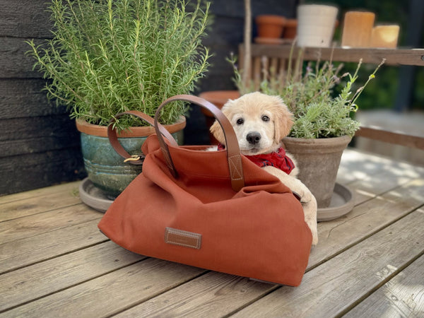 Mismo M/S Companion A Lovely Land/Cuoio