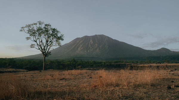 Mismo M/S Shopper Terracotta/Cuoio