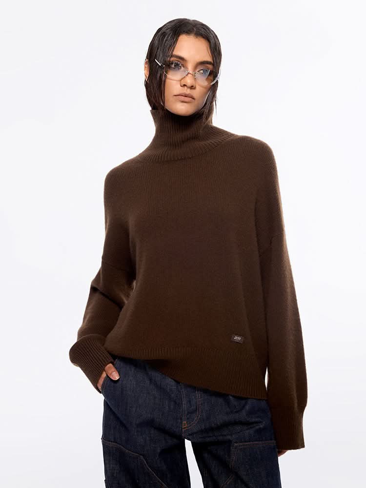 miss sixty TURTLE NECK SWEATER COFFEE