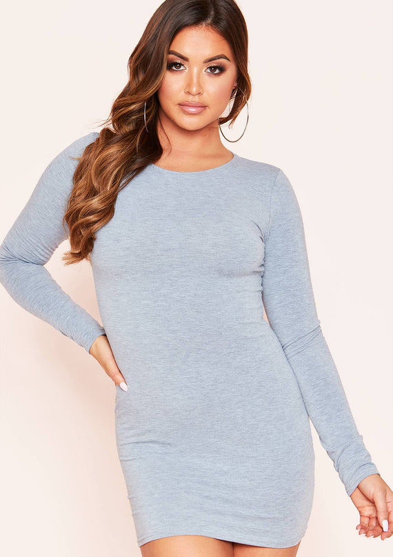 missyempire Lexi Grey Long Sleeve Basic Jersey Mini Dress