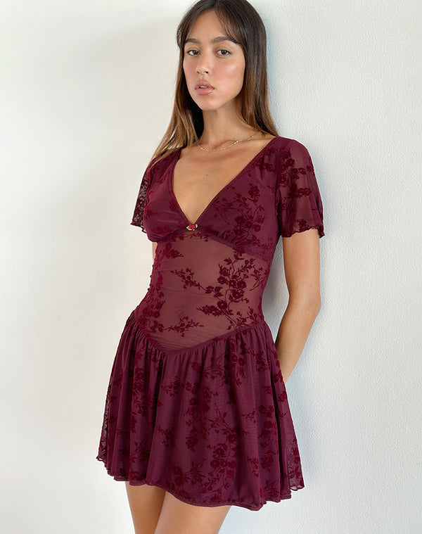 Motel Rocks Geni Mini Dress In Botanical Flower Maroon