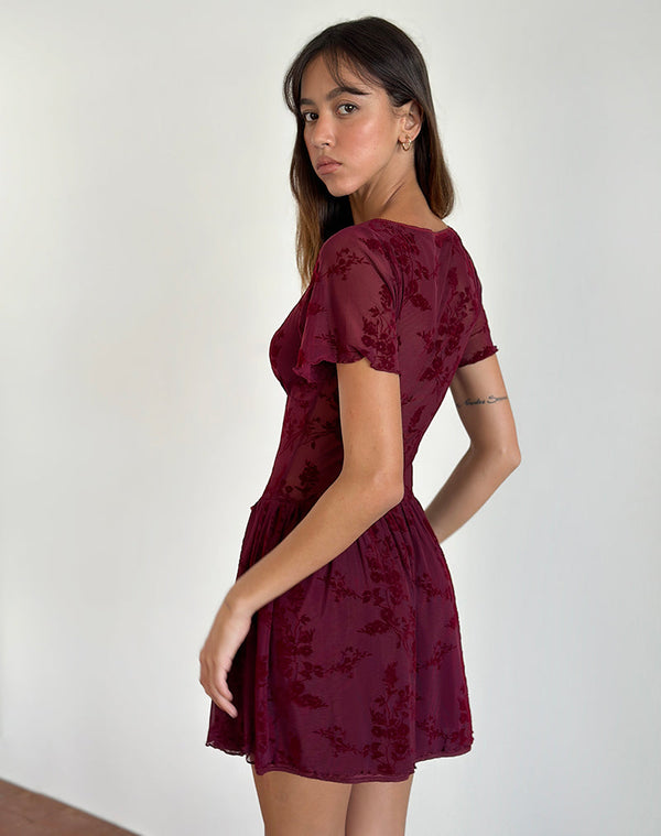 Motel Rocks Geni Mini Dress In Botanical Flower Maroon