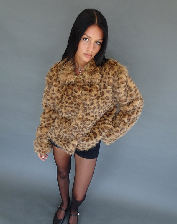 Motel Rocks Joji Crop Faux Fur Jacket In Brown Leopard