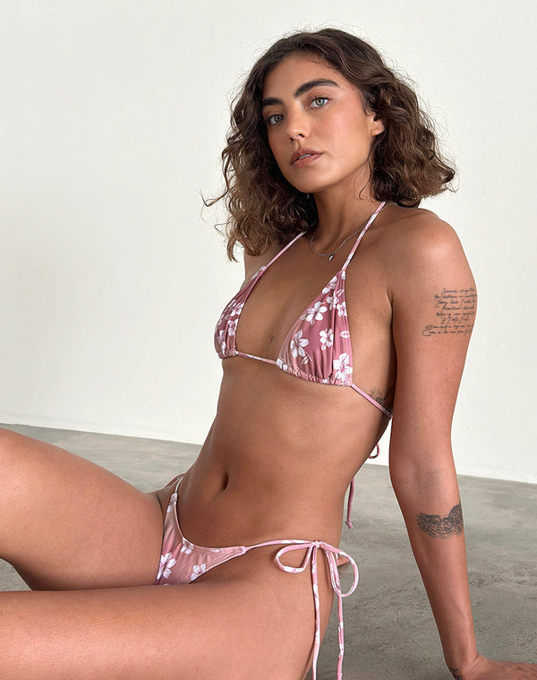Motel Rocks Lentra Bikini Bottom In Hibiscus Floral