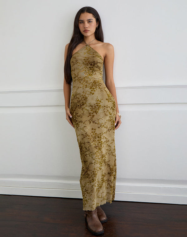Motel Rocks Rabika Maxi Dress In Burn Velvet Green