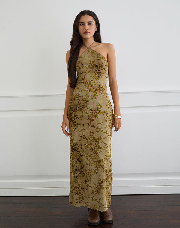 motel rocks Rabika Maxi Dress in Burn Velvet Green
