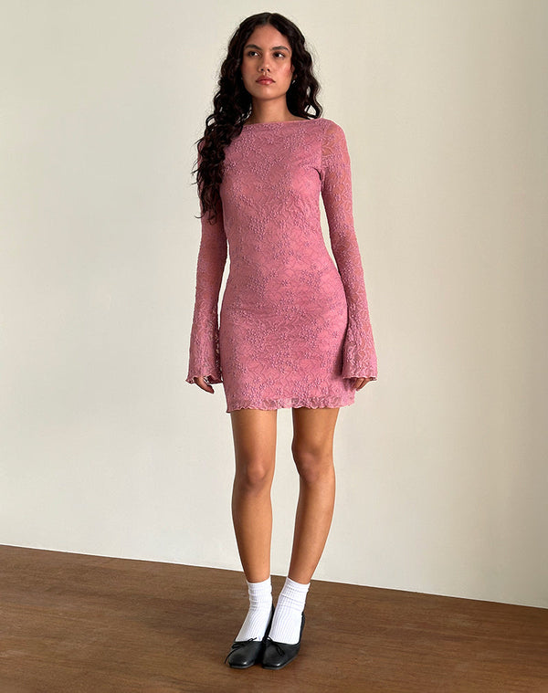 Motel Rocks Sevila Long Sleeve Dress In Dusty Rose Lace