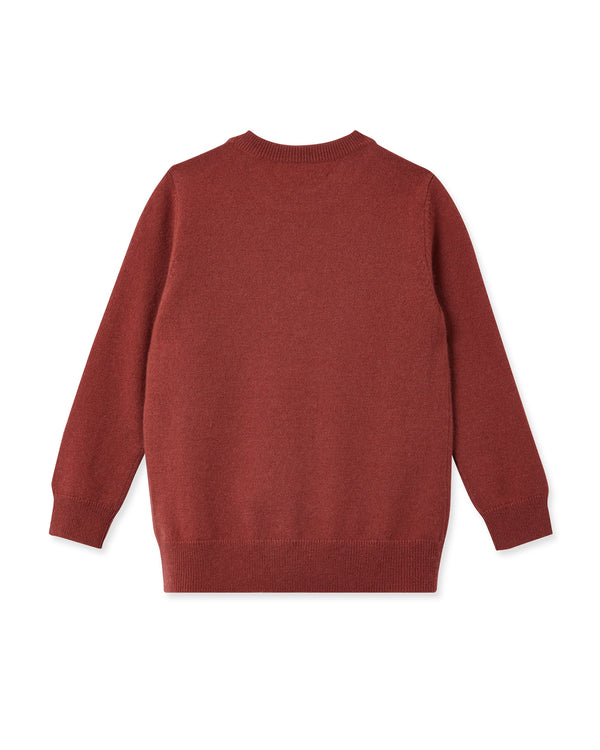N.peal Boys Round Neck Cashmere Sweater In Brick Red