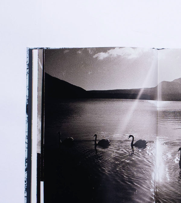 Nanamíca OOAL Slow Collapse