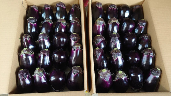 Nat 2 Fukuroya Thies 1856 ® X Fukuroya Shizuku Gauze Wash Towel Natural Dyed Eggplant Dusky Purple