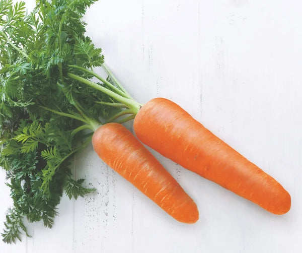 Nat 2 Fukuroya Thies 1856 ® X Fukuroya Shizuku Guest & Face Towel Natural Dyed Carrot Orange