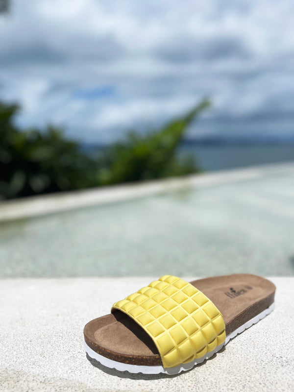 Nat 2 Thies Thies 1856 ® Eco Pool Pop Lemon