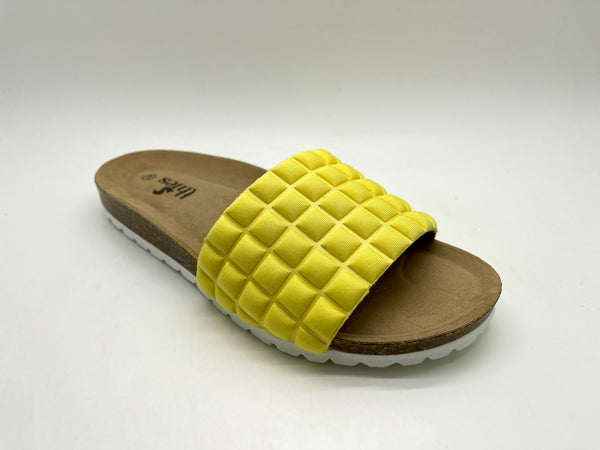 Nat 2 Thies Thies 1856 ® Eco Pool Pop Lemon