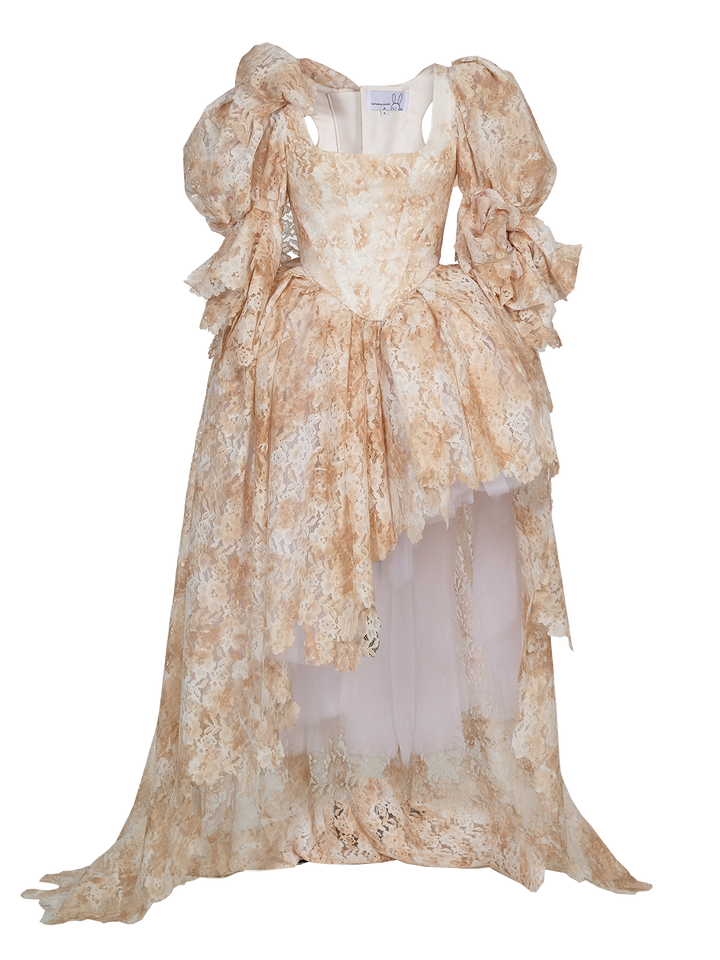 natasha zinko Corseted Puff-sleeved Princess Dress