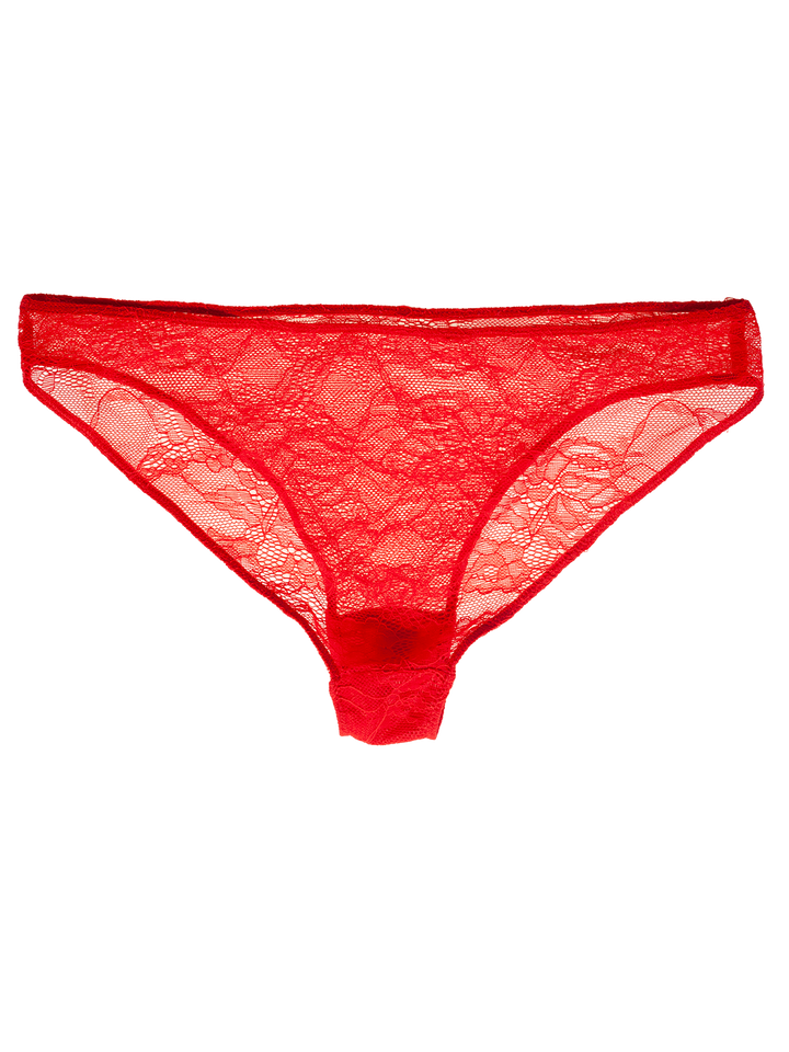 natasha zinko Fangs-embroidered Floral Lace Briefs