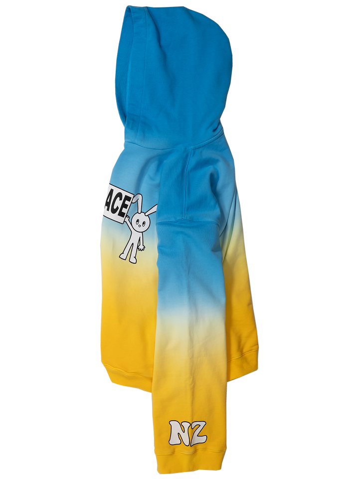 Natasha Zinko Peace Hoodie