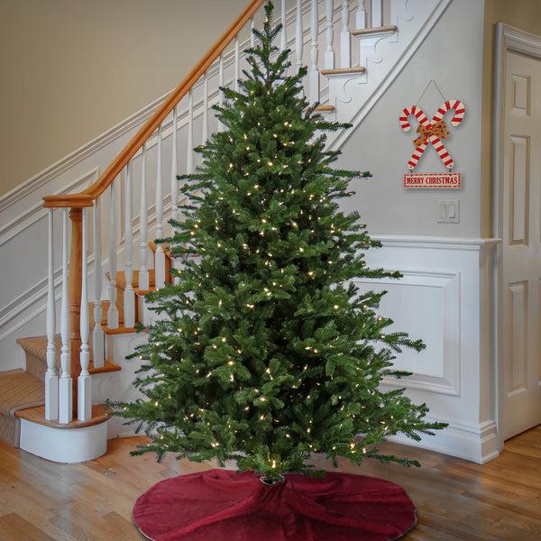 National Tree Company 10 Ft. Pre-Lit Douglas Fir Hinged Tree With Warm White LED Lights