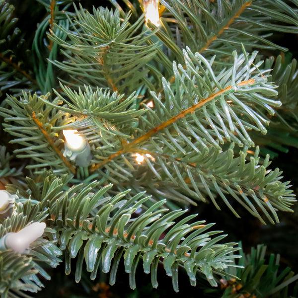National Tree Company 10 Ft. Pre-Lit Douglas Fir Hinged Tree With Warm White LED Lights