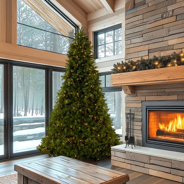 National Tree Company 10 Ft. Pre-Lit Downswept Douglas Fir Tree With Dual Color LED Lights