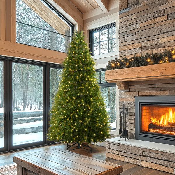 National Tree Company 10 Ft. Pre-Lit Dunhill Fir Tree With Dual Color LED Lights