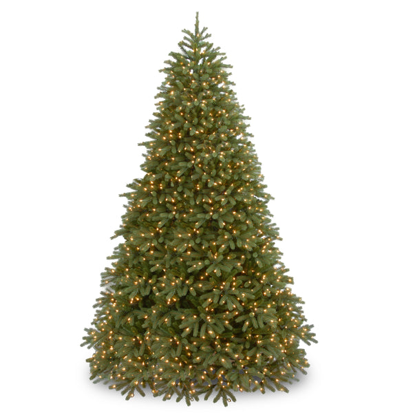national tree company 10 ft. Pre-Lit Jersey Fraser Fir Medium Tree with Dual Color LED Lights