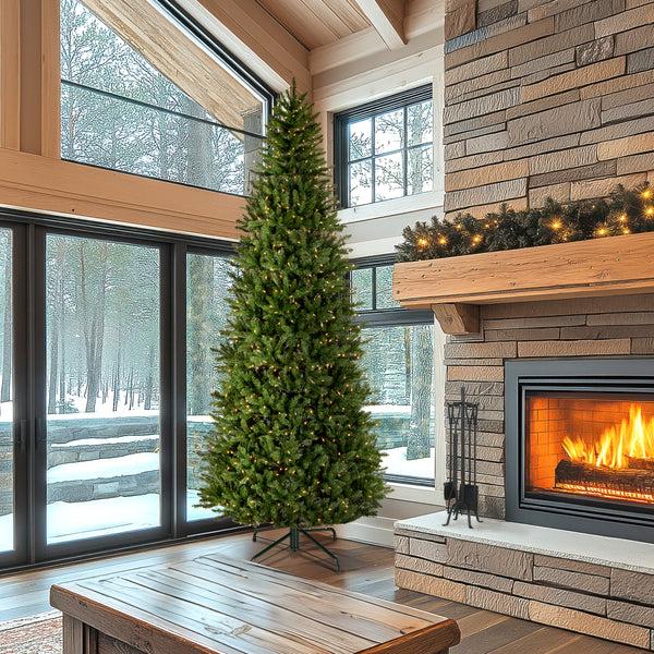 National Tree Company 10 Ft. Pre-Lit Natural Fraser Slim Fir Tree With Clear Lights