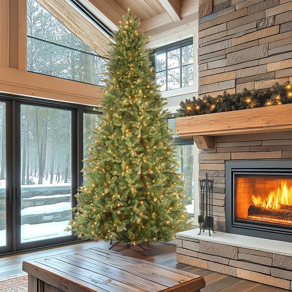 National Tree Company 12 Ft. Pre-Lit Tiffany Fir Slim Tree With Clear Lights