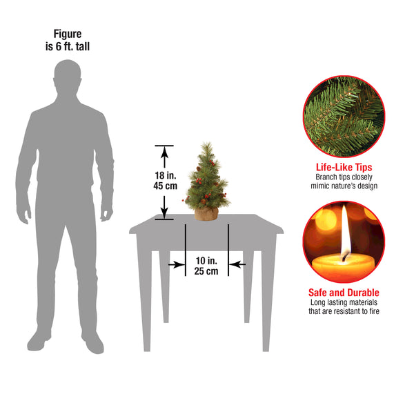 National Tree Company 18 In.Everyday Collection Tree