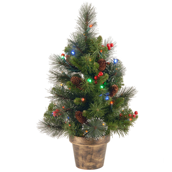 national tree company 2 ft. Pre-Lit Crestwood Spruce Tree with Multicolor LED Lights