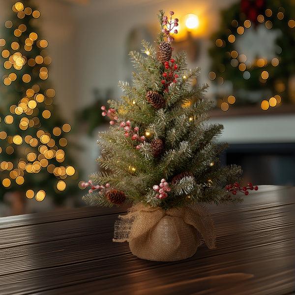 National Tree Company 2 Ft. Pre-Lit Dunhill Fir Tree With LED Lights