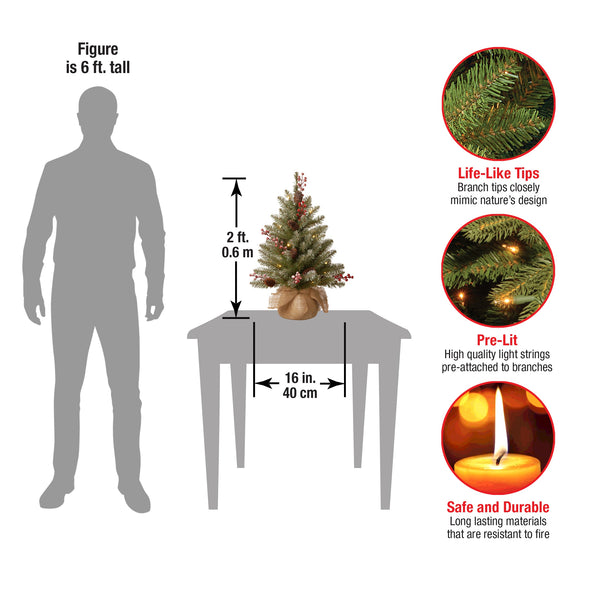 National Tree Company 2 Ft. Pre-Lit Dunhill Fir Tree With LED Lights