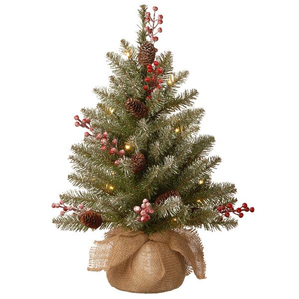 national tree company 2 ft. Pre-Lit Dunhill Fir Tree with LED Lights