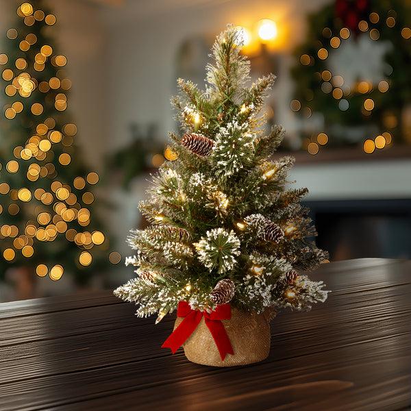 National Tree Company 2 Ft. Pre-Lit Glittery Bristle Tree With LED Lights