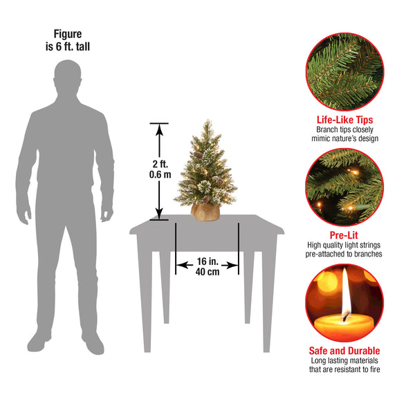 National Tree Company 2 Ft. Pre-Lit Glittery Bristle Tree With LED Lights