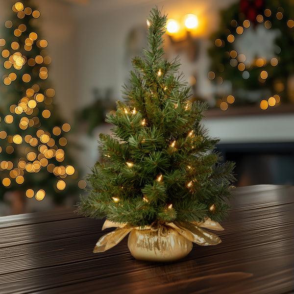 National Tree Company 2 Ft. Pre-Lit Majestic Fir Tree With Clear Lights Gold Base